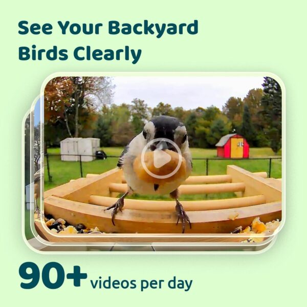 Birdfy Upgraded- Bird Feeder Camera, Auto Record Video & Notify When Birds Visit, Bamboo Bird Feeders, Bird Box Camera, Smart Bird Feeder - Image 3