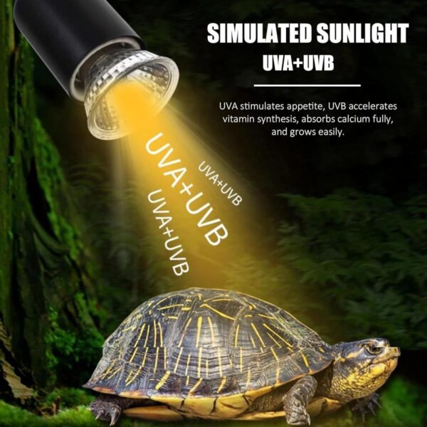 Felenny Reptile Heat Lamp,Tortoise Aquarium Heat Lamp Turtle Lights with Dimmable Switch,2 Bulbs Basking Lamp Adjustable Holder, Pet Heating Light Lamp for Reptile Turtle Lizard Snake - Image 3