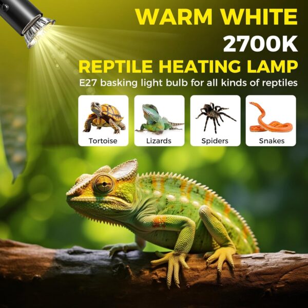 TobeBright 75W E27 Reptile Heat Lamp Dimmable Tortoise Heat Lamp Bulb UVA+UVB Basking Lamp AC220-240V Sunbathe Heat Light, for Reptiles, Amphibians, Lizards, Turtle, Snakes（2 Pack） - Image 5