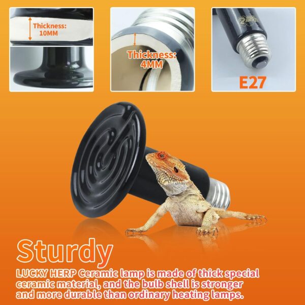 LUCKY HERP Ceramic Heat Emitter, Reptile Heat Lamp Bulbs 100W 2 Pack, Ceramic Heat Lamp for Reptiles, E27 Vivarium Heat Light for Tortoise,Puppy,Bearded Dragon,Turtle,Chick,Dog,Cat - Image 5