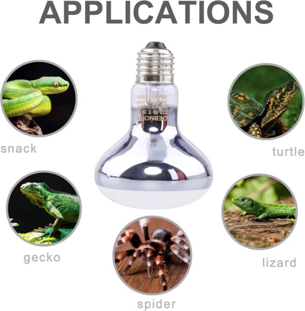 DERNORD Reptile Intense Heat Lamp - Reptile Basking Heat Bulb for Lizard Tortoise Bearded Dragon 2 Pack 100W - Image 6