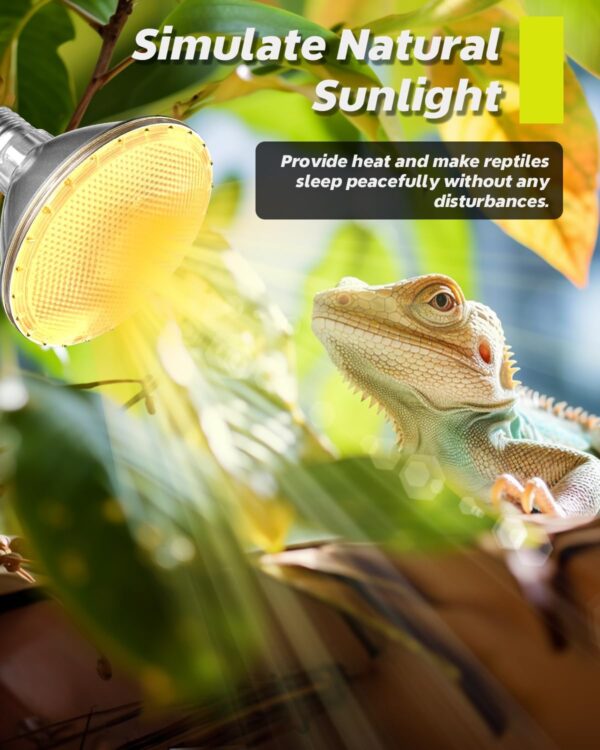 TobeBright 75W Reptile Heat Lamp Bulb,UVB UVA Basking Bulb E27 Dimmable,PAR30 Tortoise Heat Lamp,UV Heat Bulb for Vivarium Bearded Dragon,Lizard,Chick,Puppy - Image 2