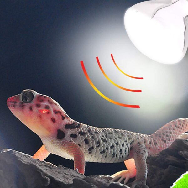 AIICIOO UVB UVA Reptile Heating Lamp D3 Simulate Sunlight Self-Ballasted Basking Bulb for Amphibian Promote Pets Calcium Absorption E27 125W - Image 7