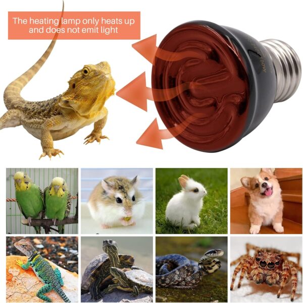 MUYIRTED Reptile Heat Lamp Bulb 100w with Anti-Hot Cage, Brooder Heat Lamp for Chicks, Puppies, Bearded Dragon, Bird, Snakes, Lizards - Image 3