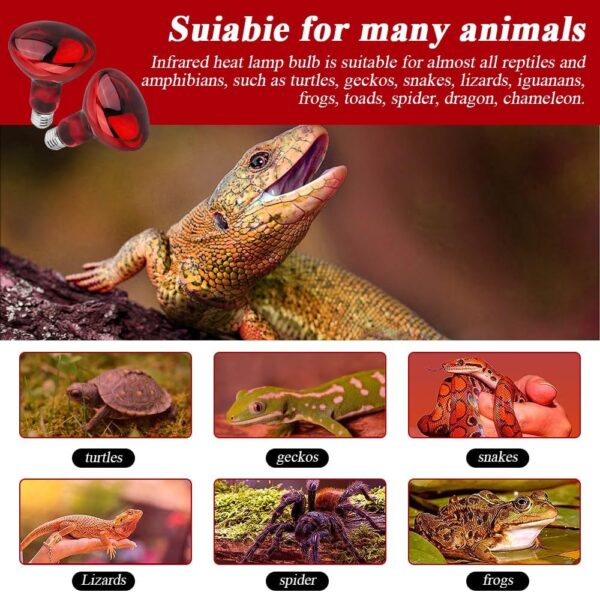 Lotvic 2 Pack 100W Infrared Reptile Heat Lamp Bulb, E27 Basking Spot Lamp, Tortoise Heat Lamp Bulb, Red Reptile Heating Bulb for Amphibian, Tortoise, Spiders, Snakes, Bearded Dragon, Lizard, Chicks - Image 4