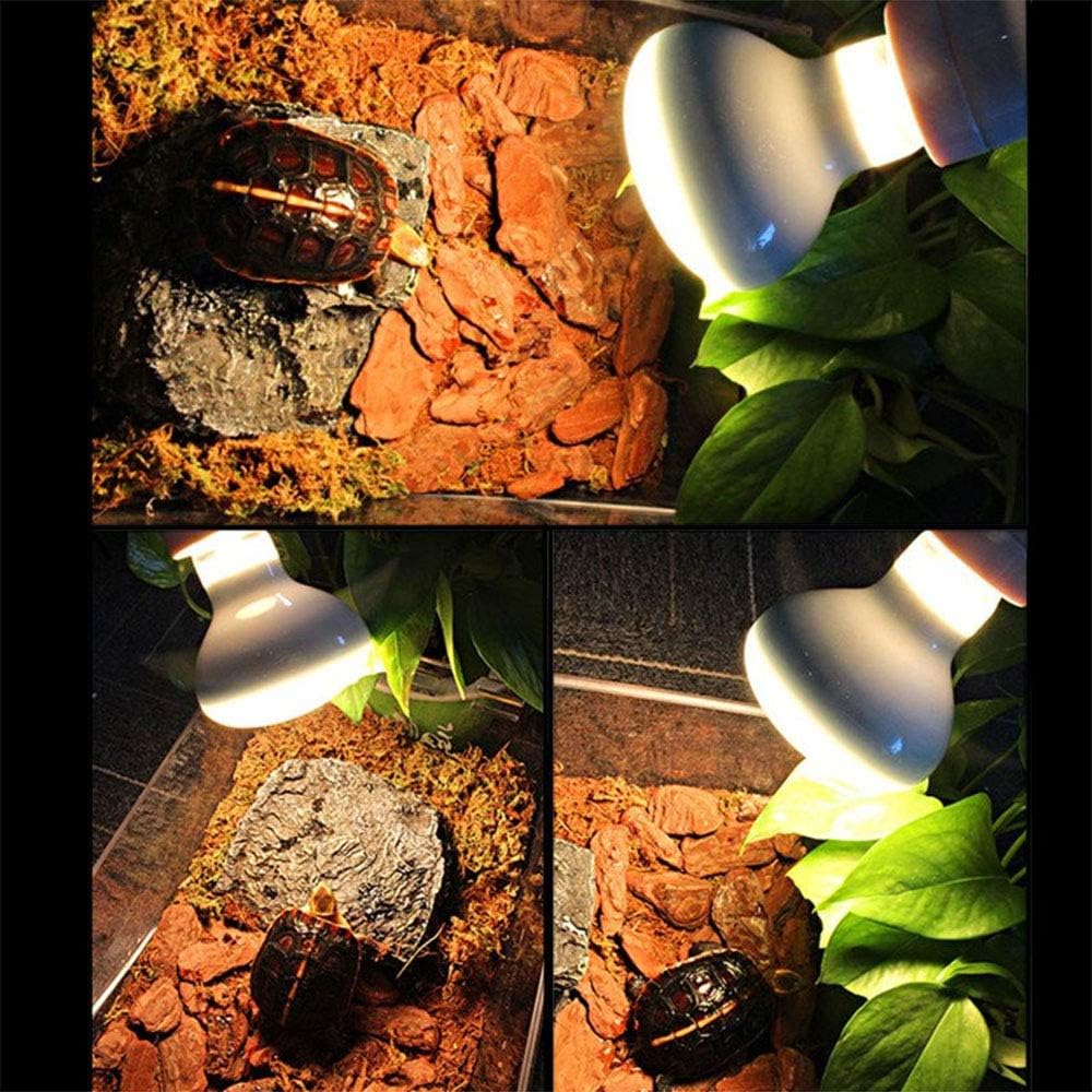 POFET 2pcs Reptile Heating Bulbs, Durable Infrared Heat Lamp Warming Light Bulb White Pet Light for Reptile and Amphibian Lizard Tortoise Spider Snake Chameleon 220-240V(75W) - Image 5