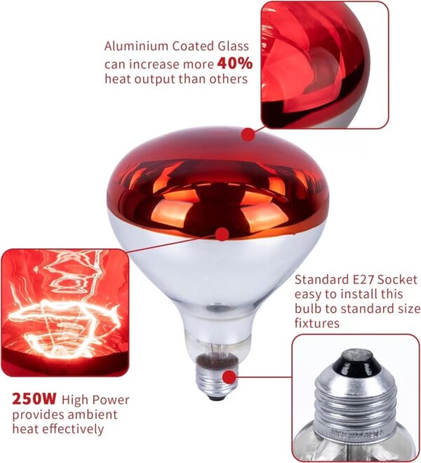 MBMYUCKY Heat Lamp for Reptiles R125-250 Watt Infrared Bulbs Chick Heat Lamp Bulb Coop Chickens Shower Brooder Heat Light Bulb Incadescent Red Bulb 2 Pack - Image 3