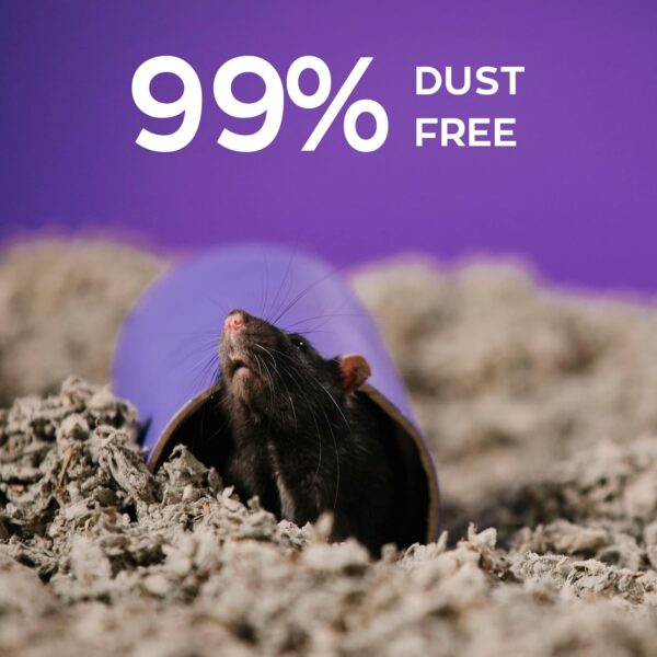 Carefresh Dust-Free Natural Paper Small Pet Bedding with Odor Control, 42L - Image 5