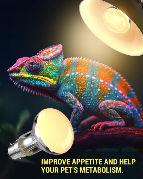 TobeBright UV Basking Lamp B22, 80 Watt Reptile Heat Lamp, UVB UVA Daylight Spot Bulb R63, Provides Heat, Light & UV for Reptile and Amphibian, AC220-240V, 1 Pack - Image 4