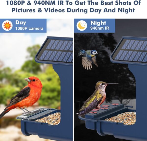 Smart Bird Feeder with Camera, Bozily 1080P HD Bird Feeders Camera Solar Powered, Auto Capture Photo&Video, Bird Camera Waterproof Bird Box Camera, PIR Motion Sense Birds- 32GB TF Card - Image 3