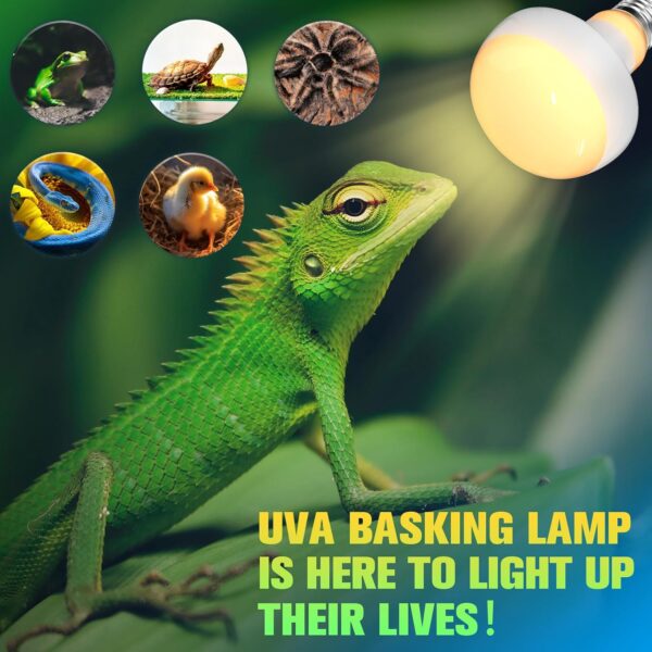 TobeBright 75W Intense Reptile Heat Lamp Bulb,E27 Dimmable Basking Bulb,UVA Heat Bulb for Reptile, Reptile Heat Lamp for Tortoise, Bearded Dragon, Lizard, Chicks and Puppies 2Pack - Image 6