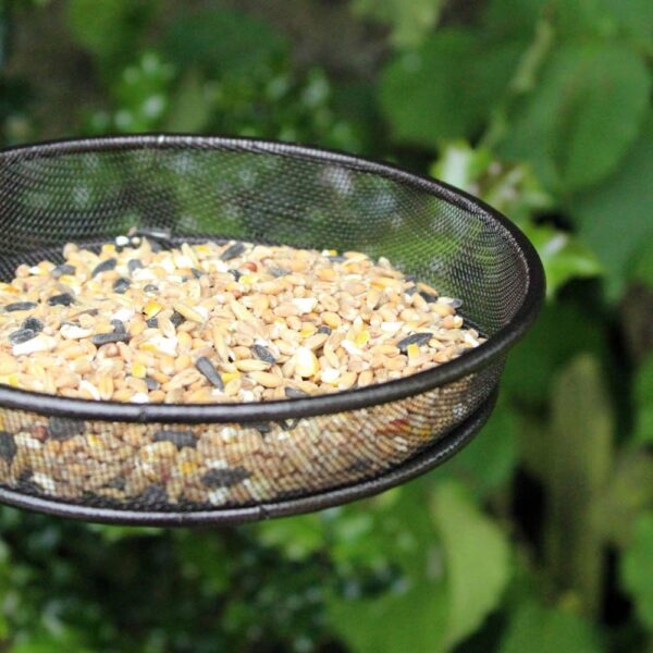King Fisher BFMESH Metal Mesh Bird Feeding Dish - Silver - Image 2