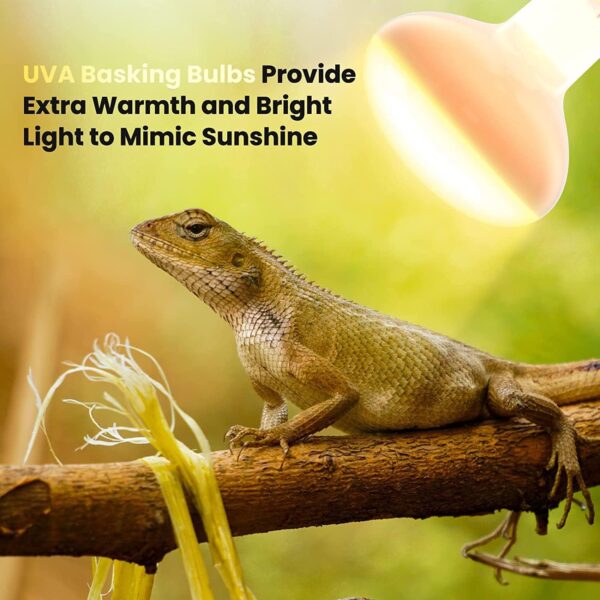 Klarlight Heat Lamp Bulb 100W, E27 Reptile Heat Lamp Dimmable Simulated Sunlight Basking Bulb for Bearded Dragon, Tortoise, Lizard, Puppy, Chicks, AC220-240V, 2-Pack - Image 2
