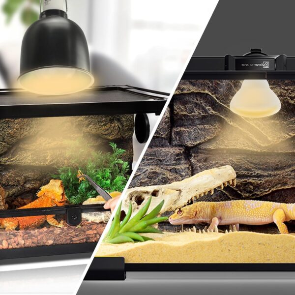 LUCKY HERP 150W Reptile Heat Bulb, Basking Spot Heat Lamp for Reptiles,Vivarium Light for Amphibian, Chicks, Dog Heating Use - Image 6