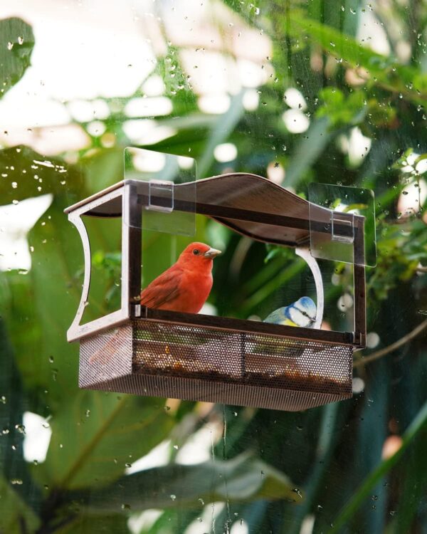 Window Bird Feeder, HouseSapp Sturdy Metal Window Bird Feeder, Window Bird Feeders with Strong Suction Cups, Super Adhesive Sheet×4，Large Outdoor Bird Feeder, Bird Watching Gift, Wild Bird Feeder - Image 7