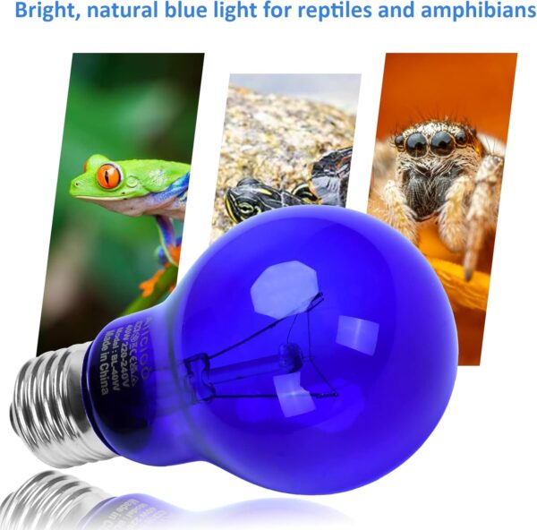 AIICIOO Daylight Blue Reptile Lamp UVA Heating Bulb E27 Reptile Heating Light for Turtles Lizards Snakes Bearded Dragons Frogs 40W 2 Pack - Image 6
