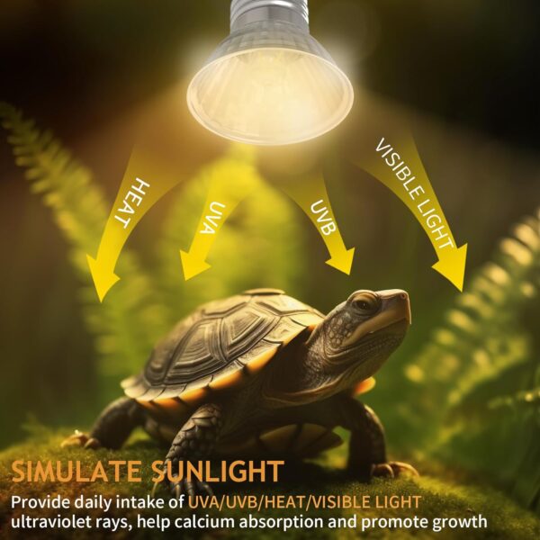 EASYIVY E27 Reptile Heating Bulb, 50W UVA UVB Turtle Basking Light Bulb Dimmable Tortoise Heat Lamp Bulbs for Bearded Dragon Lizard Snake Gecko Chameleon Amphibian, 4-Pack - Image 4