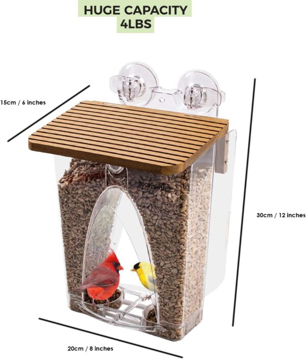 Roamwild Beautiful Arch Window Wild Bird Feeder with Huge 4LBS Capacity & Ultra Strong Dual Suction Technology for Outdoors with Drainage Holes & Window Protectors - Image 5
