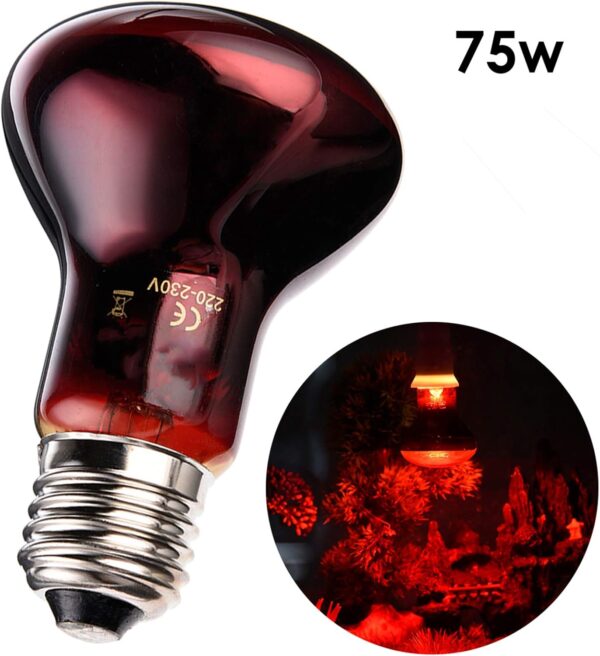 Yolispa Heat Lamp Light Bulb for Reptile Red Lights, Amphibian, Dog,Chicken and Other Animal Heating Use 75W - Image 4