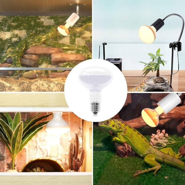 Klarlight Heat Lamp Bulb 100W, E27 Reptile Heat Lamp Dimmable Simulated Sunlight Basking Bulb for Bearded Dragon, Tortoise, Lizard, Puppy, Chicks, AC220-240V, 2-Pack - Image 6