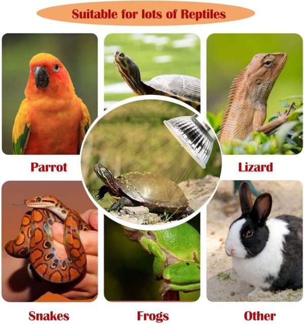 QIODAZOO UVA UVB Tortoise Heat Lamp, Heat Bulb 50W for Reptiles Turtle Chicks Snakes, Temperature Diming Timed Adjustable Terrarium Heat Lamps Holder - Image 5