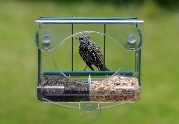 Meripac PIGEON-PROOF Window Feeder - Image 4