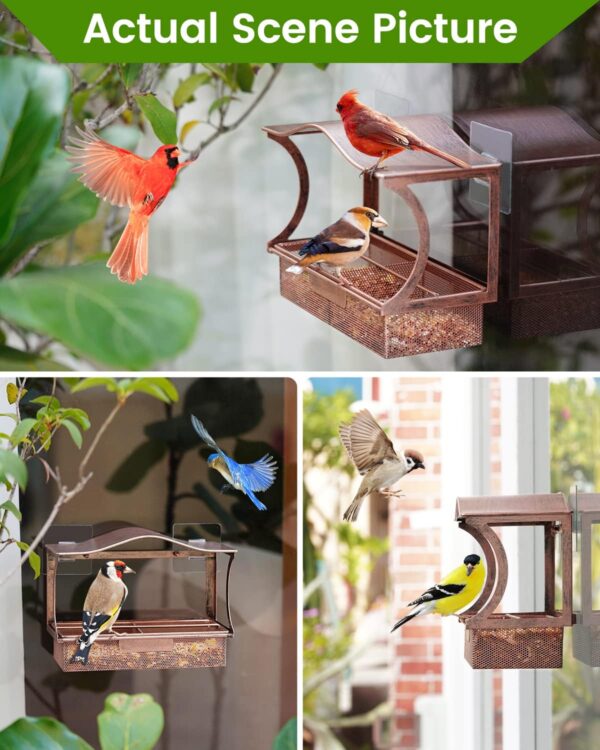 Window Bird Feeder, HouseSapp Sturdy Metal Window Bird Feeder, Window Bird Feeders with Strong Suction Cups, Super Adhesive Sheet×4，Large Outdoor Bird Feeder, Bird Watching Gift, Wild Bird Feeder - Image 6