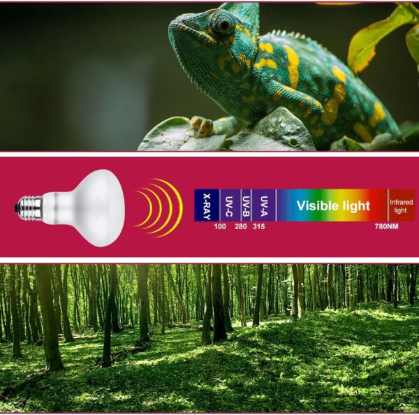 YANGUN 2 Pack Reptile Heat Lamp 100W, E27 Heat Bulb for Reptiles, Daylight Basking Spot Bulb, Tortoise Heat Lamp Bulb, Reptile Heating Bulb for Tortoise, Amphibian, Chicks, Puppies, Lizard, Snakes (B) - Image 5