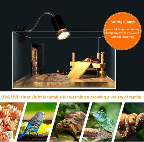 Felenny Reptile Heat Lamp,Tortoise Aquarium Heat Lamp Turtle Lights with Dimmable Switch,2 Bulbs Basking Lamp Adjustable Holder, Pet Heating Light Lamp for Reptile Turtle Lizard Snake - Image 5