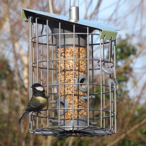 The Nuttery RNMD01 Roundhaus Seed Squirrel Proof Bird Feeder, Celadon Green - Image 3