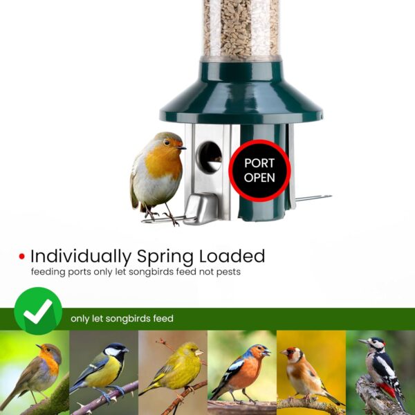 Squirrel Proof Wild Bird Feeder 2l Capacity - Roamwild PestOff 2.0 (Mixed Seed/Sunflower Heart Feeder) - Image 2