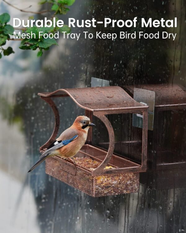 Window Bird Feeder, HouseSapp Sturdy Metal Window Bird Feeder, Window Bird Feeders with Strong Suction Cups, Super Adhesive Sheet×4，Large Outdoor Bird Feeder, Bird Watching Gift, Wild Bird Feeder - Image 5