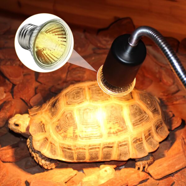 Tunknew 4 Pcs Heat Lamp Bulb for Reptiles, 50W UVB UVA Tortoise Heat Lamp Daylight Heated Bulbs Chick Brooder Basking Spotlight for Lizard Turtle Snake Hedgehog Chameleon Aquarium Amphibian Plant - Image 6