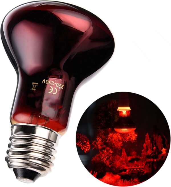 Yolispa Heat Lamp Light Bulb for Reptile Red Lights, Amphibian, Dog,Chicken and Other Animal Heating Use 75W - Image 9