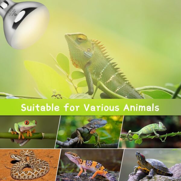 REPTI HOME Reptile UVA UVB Light, 100W UVB Basking Heat Lamp for Reptile, Vivarium Heat Lamp Bulb for Tortoise,Turtle,Puppy,Frog,Chick,Lizard - Image 6