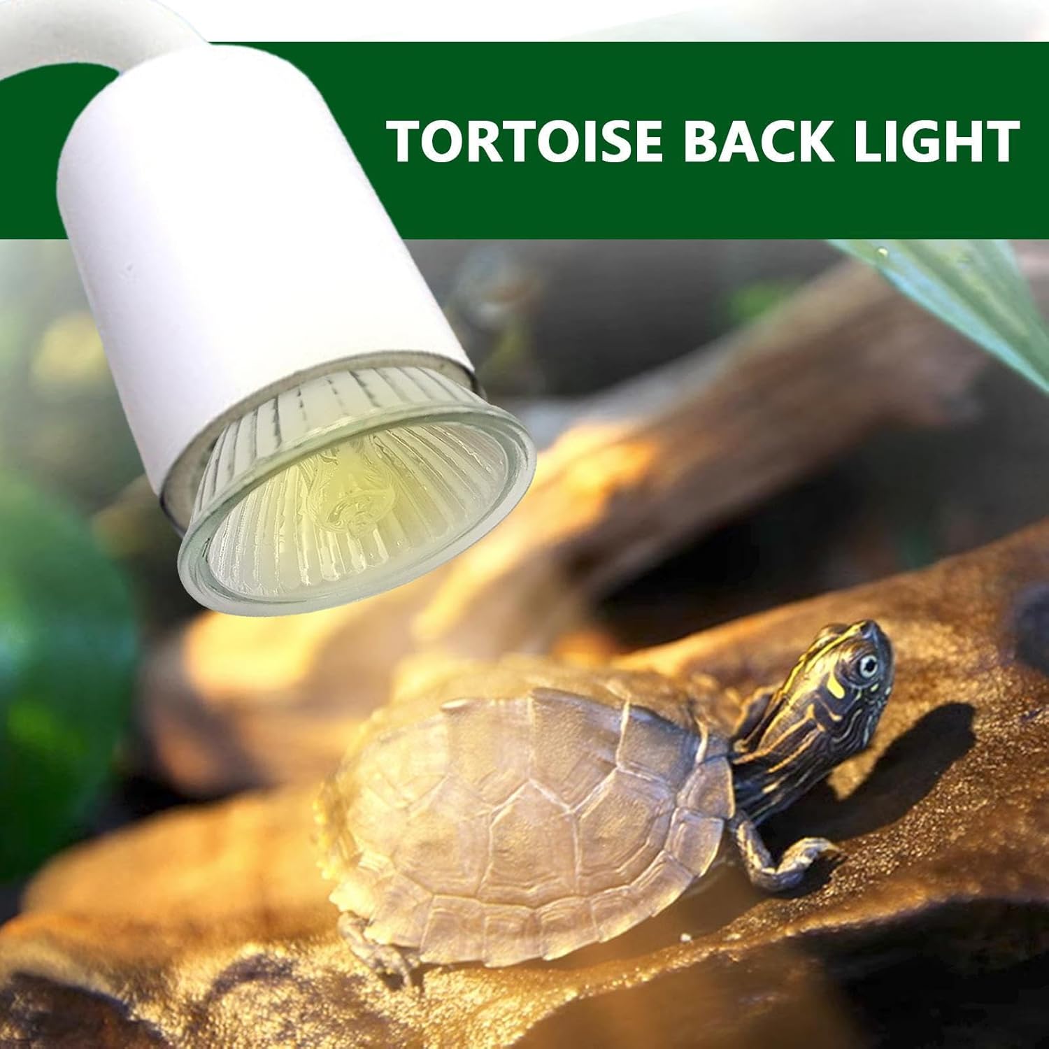 EviKoo Turtle Basking Light | Turtle Light - UVA Reptile Heating Lamp, Turtle Reptile Heating Bulb with Clip and Dimmable for Reptiles Turtle Snake - Image 7