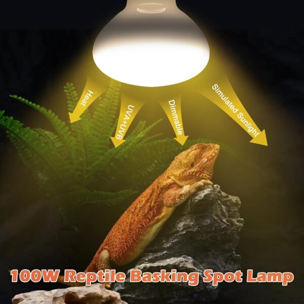 2 Pack 100W Reptile Heat Lamp Bulb E27 Tortoise Basking Light Bulb Dimmable UVA+UVB Daylight Heating Bulb for Vivarium/Lizards/Bearded Dragon/Snakes/Puppies/Chicks/Amphibian - Image 2