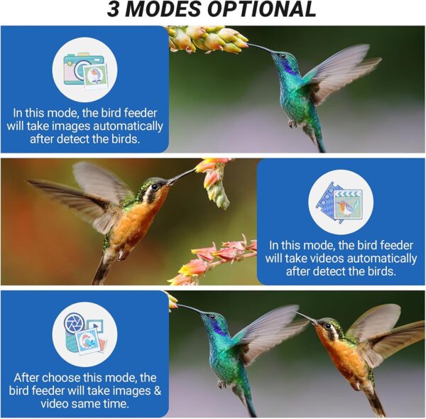 Smart Bird Feeder with Camera, Bozily 1080P HD Bird Feeders Camera Solar Powered, Auto Capture Photo&Video, Bird Camera Waterproof Bird Box Camera, PIR Motion Sense Birds- 32GB TF Card - Image 4