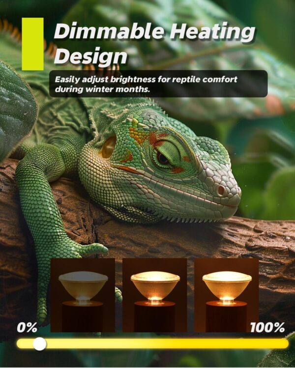 TobeBright 75W Reptile Heat Lamp Bulb,UVB UVA Basking Bulb E27 Dimmable,PAR30 Tortoise Heat Lamp,UV Heat Bulb for Vivarium Bearded Dragon,Lizard,Chick,Puppy - Image 3