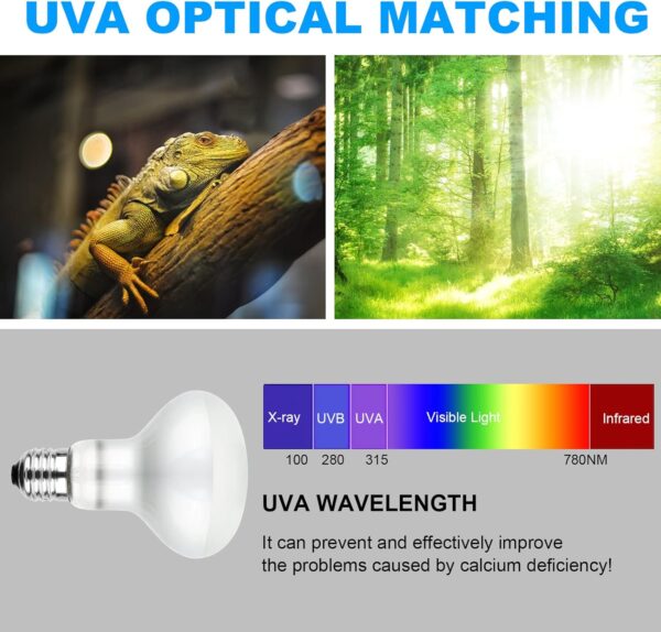 Adiwo Basking Spot Lamp, 2 Pack 100W Reptile Heat Bulb, Tortoise Heat Lamp, Natural Light Basking Bulb Light Heat Lamp for Reptiles, Amphibian, Chicks, Puppies Heating Use (White) - Image 3
