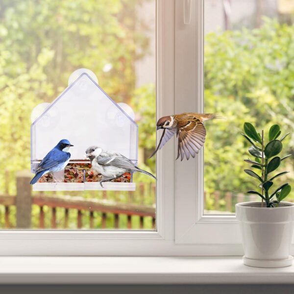 Window Bird Feeder 2 Pack, Bird House for Outside, Window Bird Feeder with Strong Suction Cups and Removable Seed Tray with Drain Holes. Outdoors Birdfeeder for Wild Birds, Cardinal, Bluebird - Image 6