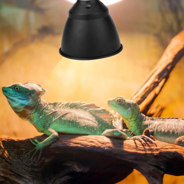 Haokaini E27 Reptile Turtle Heat UVA/UVB Bulb Lamp Light Holder 220V 300W Reptile Clamp Lamp Heating Lighthouse for Chicken Brooder Basking(UK Plug) - Image 9
