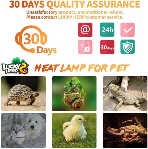 LUCKY HERP Reptile Ceramic Heat Emitter 150W, 1Pack Reptile Heat Lamp for Turtle and Amphibians - Image 6