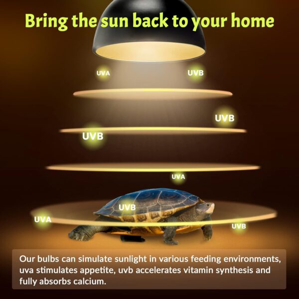 Luxvista E27 50W Reptile Heating Light Bulb, UVA UVB Full Spectrum Sun Lamp for Lizard Tortoise Spider Snake, 4 Pack - Image 4