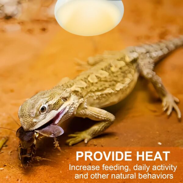 REPTI HOME Reptile Heat Lamp Bulbs, Heat Bulb for Reptiles 2 Pack-100W, E27 Vivarium Basking Spot Light for Tortoise, Lizard, Snake, Bearded Dragon, Puppy, Chick - Image 3