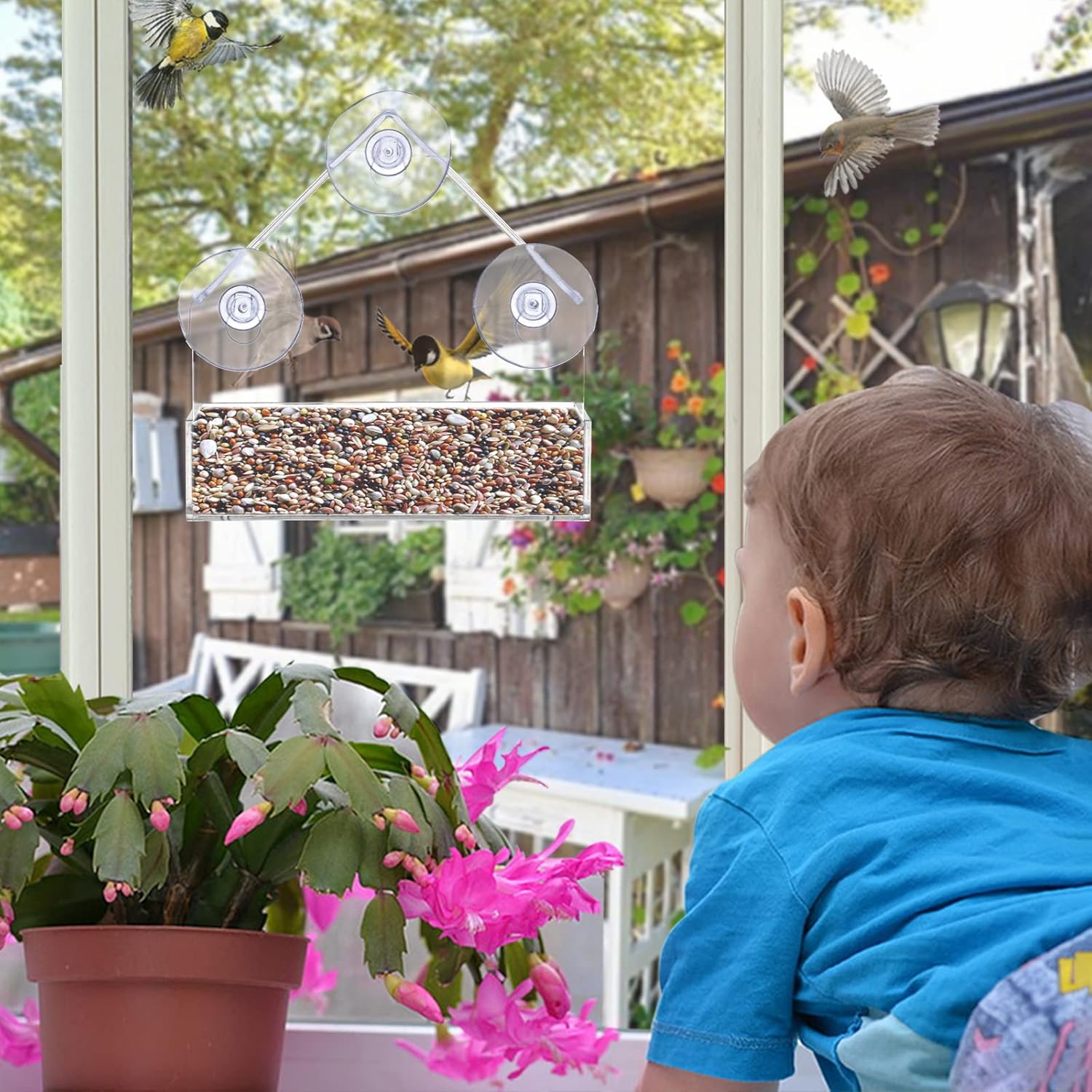 Lifreer Window Bird Feeder with Strong Suction Cups Plastic Wild Bird Feeder House Clear Bird Seed Feeders for Garden Outdoor - Image 7