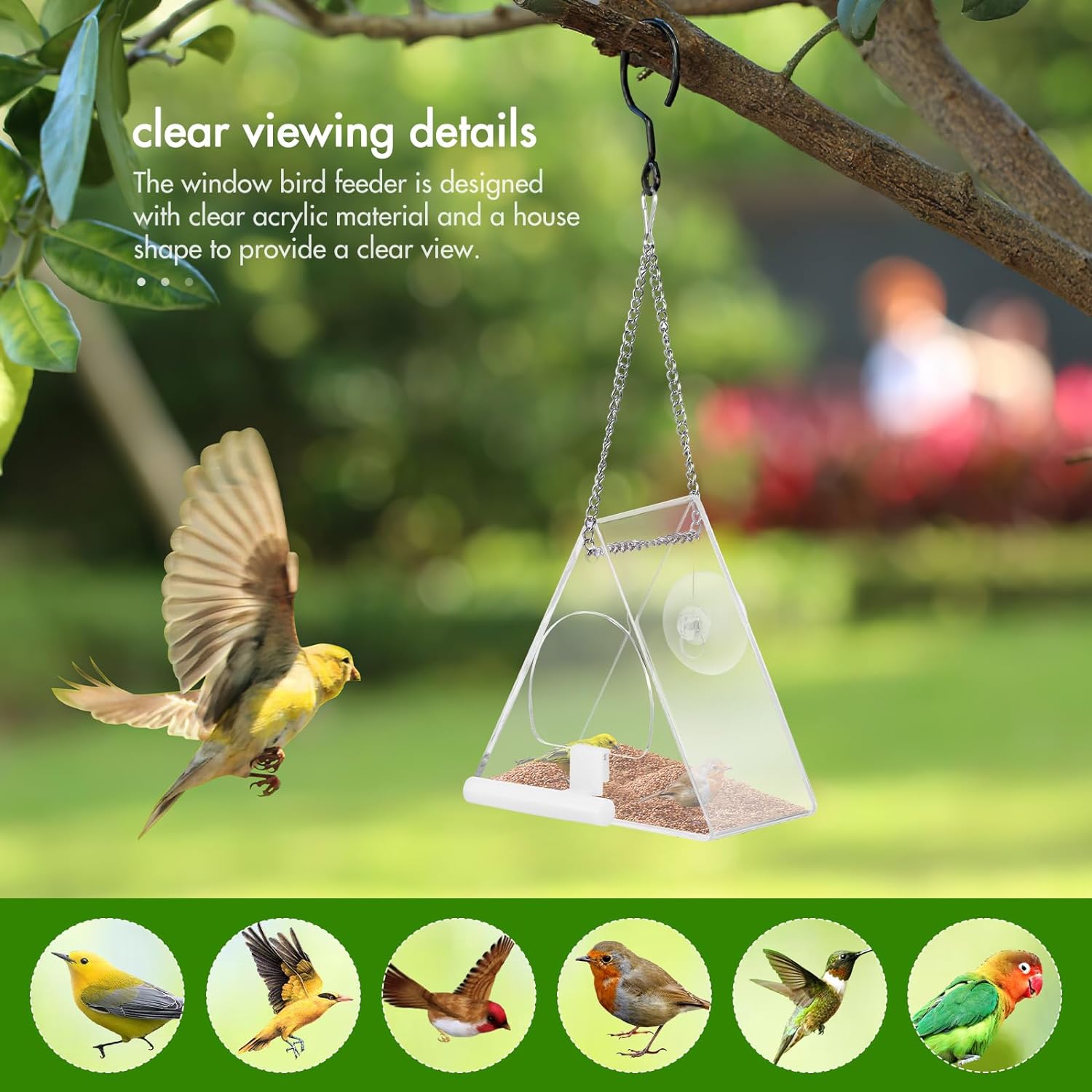 Palmcee Clear Window Bird Feeder, Hanging Wall Fence Tree Mounted Off-Ground Outdoor Garden Wild Feeding Food Station, Bird Window Feeder with Suction Cup and Drain Hole for Small Birds - Image 3