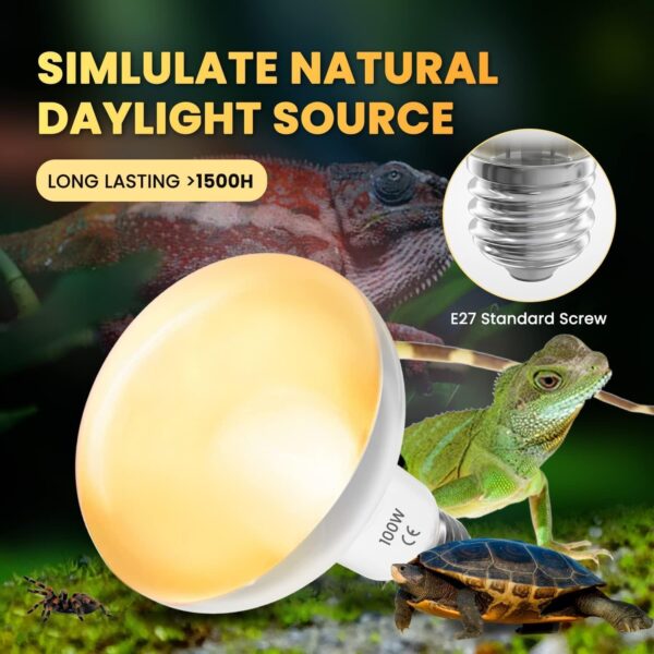 Luxvista 2Pack 100W Reptile Heat Lamp Bulb, E27 Basking Bulb, Warm White Light Heat Bulb, Dimmable Heat Lamp for Puppies/Reptiles/Lizards/Tortoise/Chicks/Amphibian/Bearded Dragon - Image 3