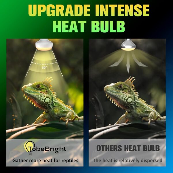 TobeBright 75W Intense Reptile Heat Lamp Bulb,E27 Dimmable Basking Bulb,UVA Heat Bulb for Reptile, Reptile Heat Lamp for Tortoise, Bearded Dragon, Lizard, Chicks and Puppies 2Pack - Image 2