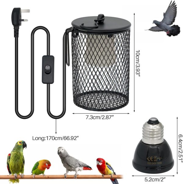 MUYIRTED Reptile Heat Lamp Bulb 100w with Anti-Hot Cage, Brooder Heat Lamp for Chicks, Puppies, Bearded Dragon, Bird, Snakes, Lizards - Image 6
